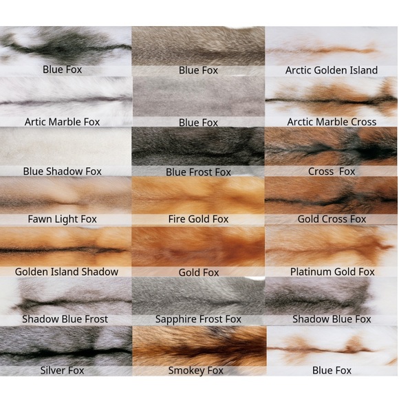 RARE Vintage Fox Fur Coat with Distinctive Striping and Coloration - Picture 6 of 7